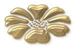 JÄNNER