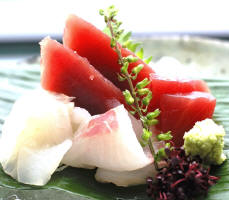 Sashimi Rezepte