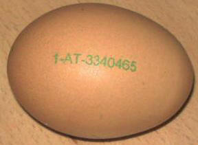 Aufdruck auf Eier - Eieraufdruck